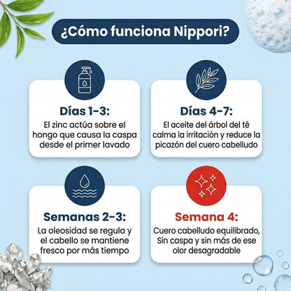 Nippori® | Shampoo Anticaspa Control Grasa
